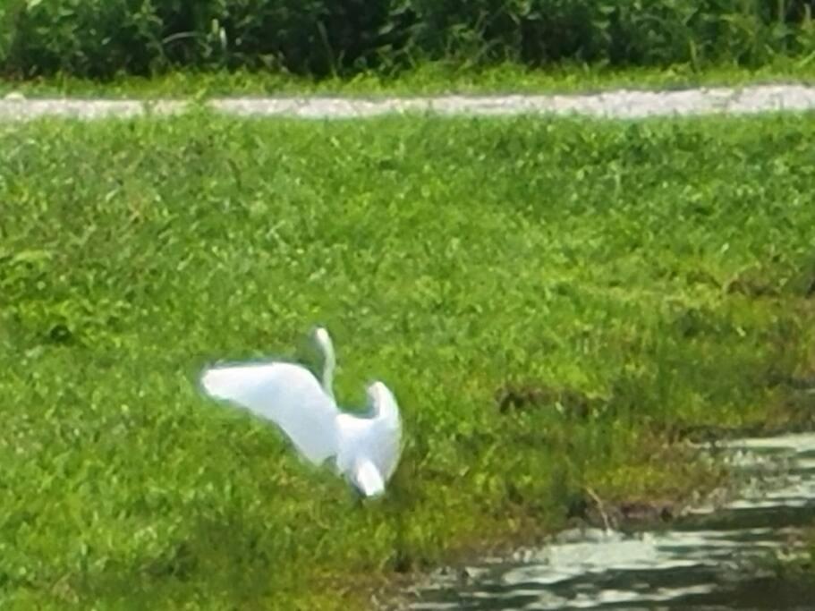 Little House By The Pond Villa Oneida Exterior foto